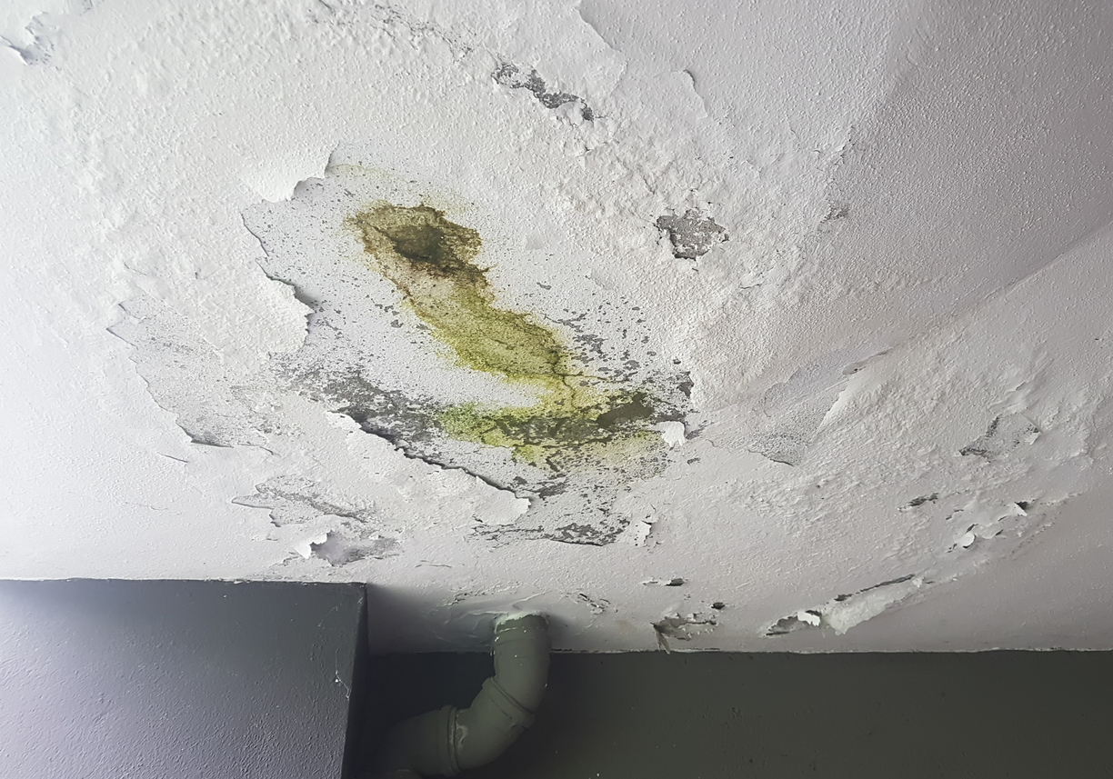 Water Damage Picture